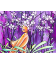 Forêt d'Orchidées